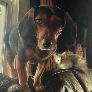 Meet your Posher, Natalie